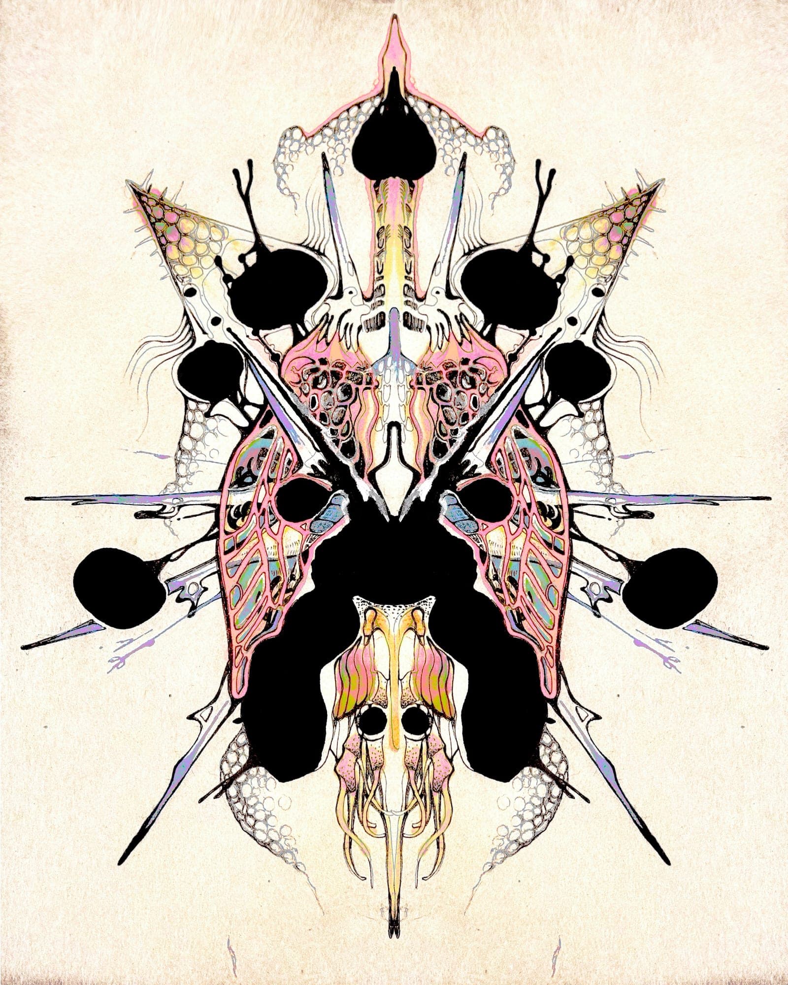 Order & Disorder #3
