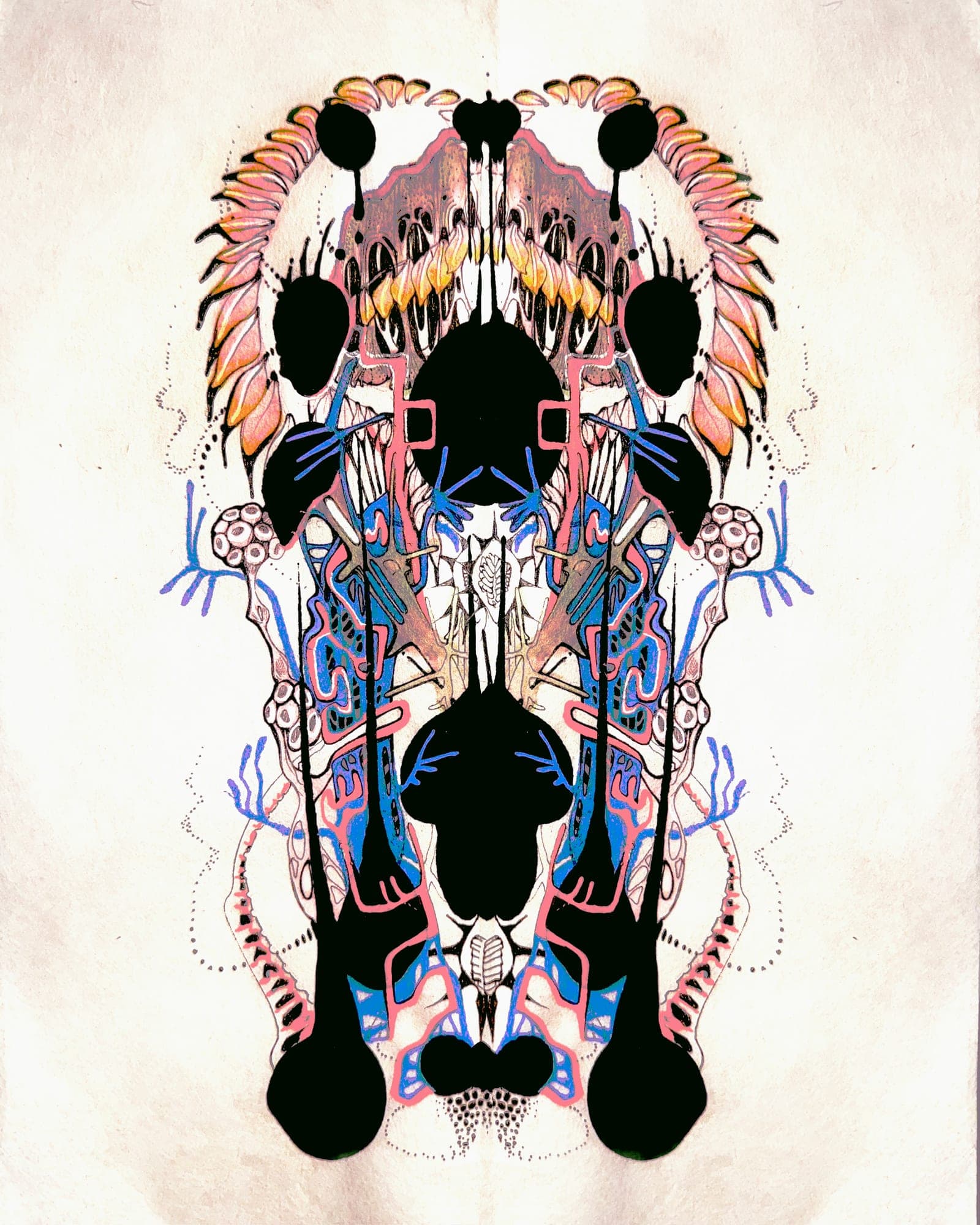 Order & Disorder #4